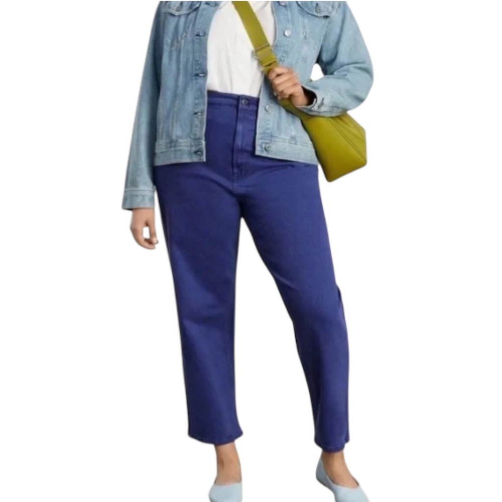 Everlane The Way-High Curvy Jean‎ Cobalt Blue Straight Leg Size 28 Minimalist